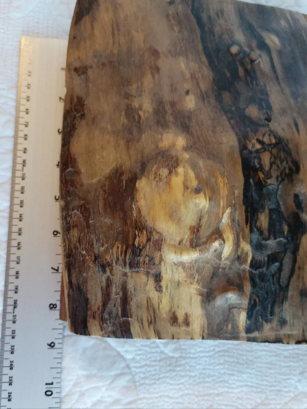 Handmade Walnut Burl Wood Box with Lid Live Edge Rustic Cabin Cottage Core READ
